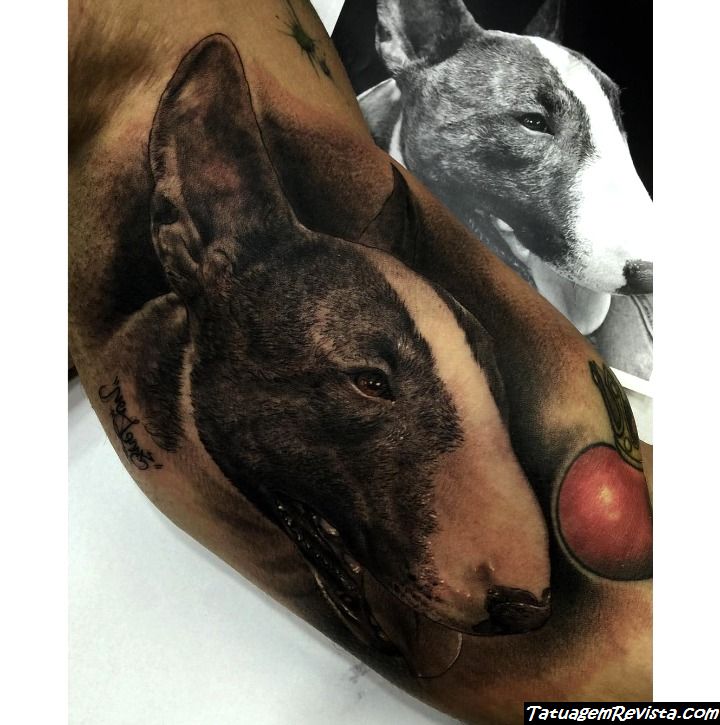 tattoos-de-bull-terrier-1