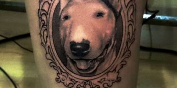 tattoos-de-bull-terrier-2