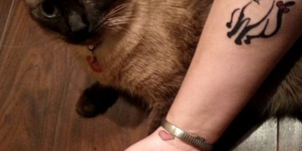 tattoos-de-gato-siames