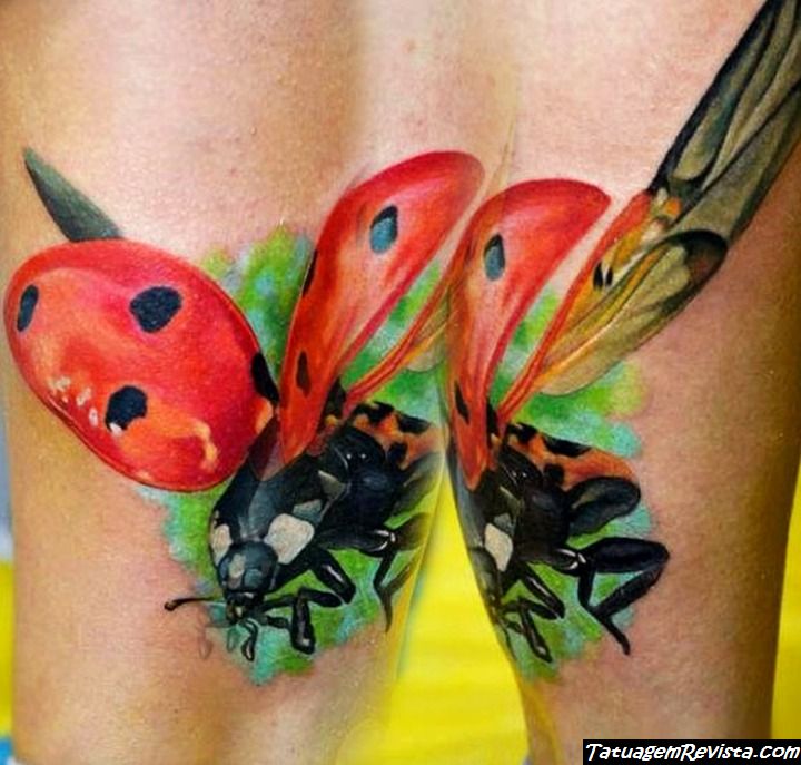 tattoos-de-joaninhas-volando