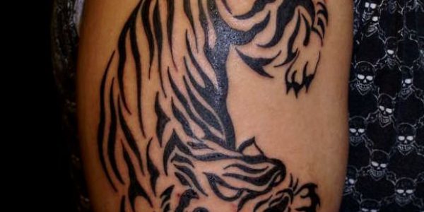 tattoos-de-tigres-al-estilo-tribal-2