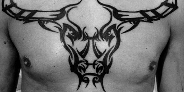 tattoos-de-touro-tribal-2