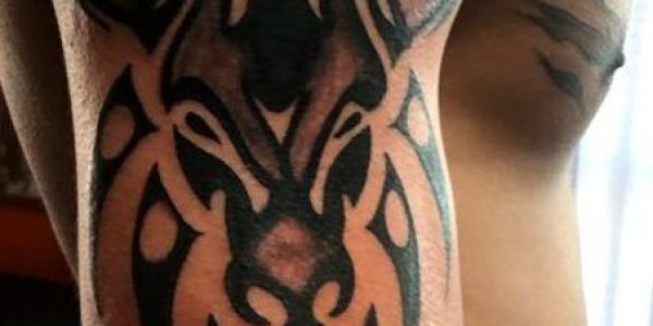 tattoos-de-touro-tribal