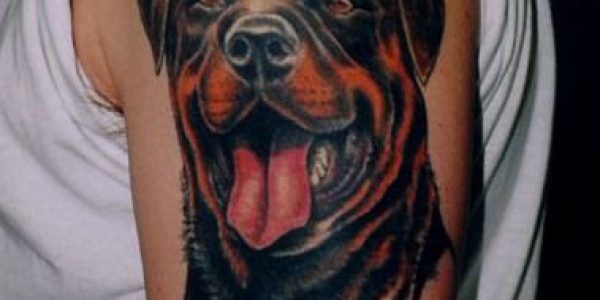 tatuagens-de-cao-rottweiler-1