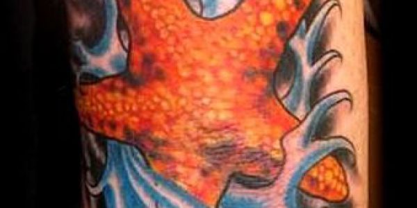 tatuagens-de-estrelas-de-mar