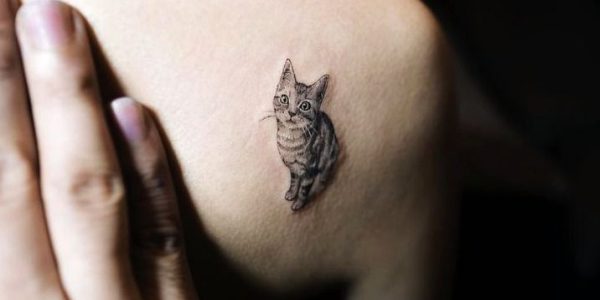 tatuagens-de-felinos