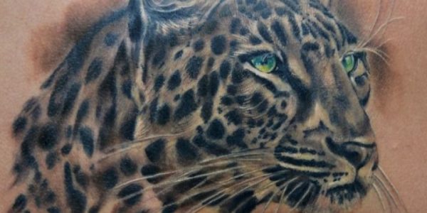tatuagens-de-jaguares