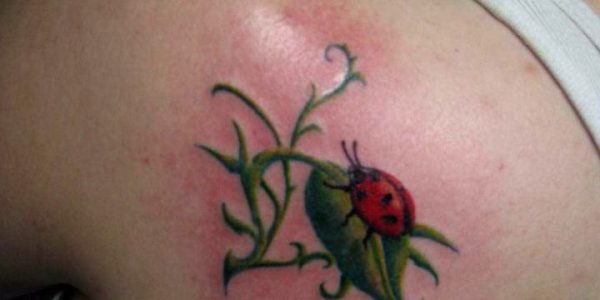 tatuagens-de-joaninhas-2