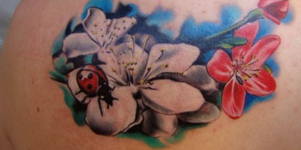 tatuagens-de-joaninhas-y-flores