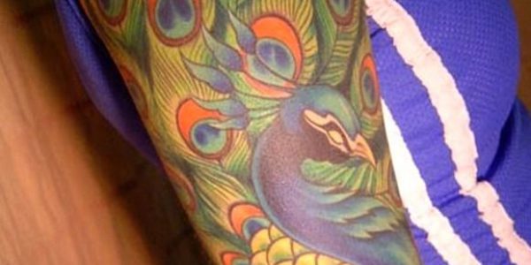 tatuagens-de-pavo-real