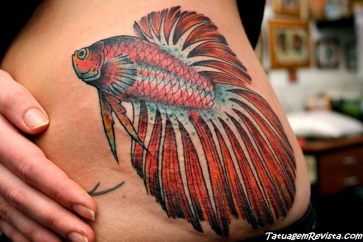 tatuagens-de-peixe-betta-2
