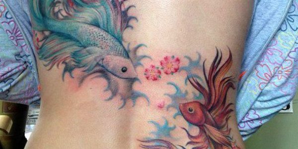 tatuagens-de-peixe-betta