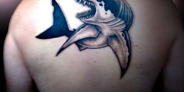 tatuagens-de-tubaraoes-2