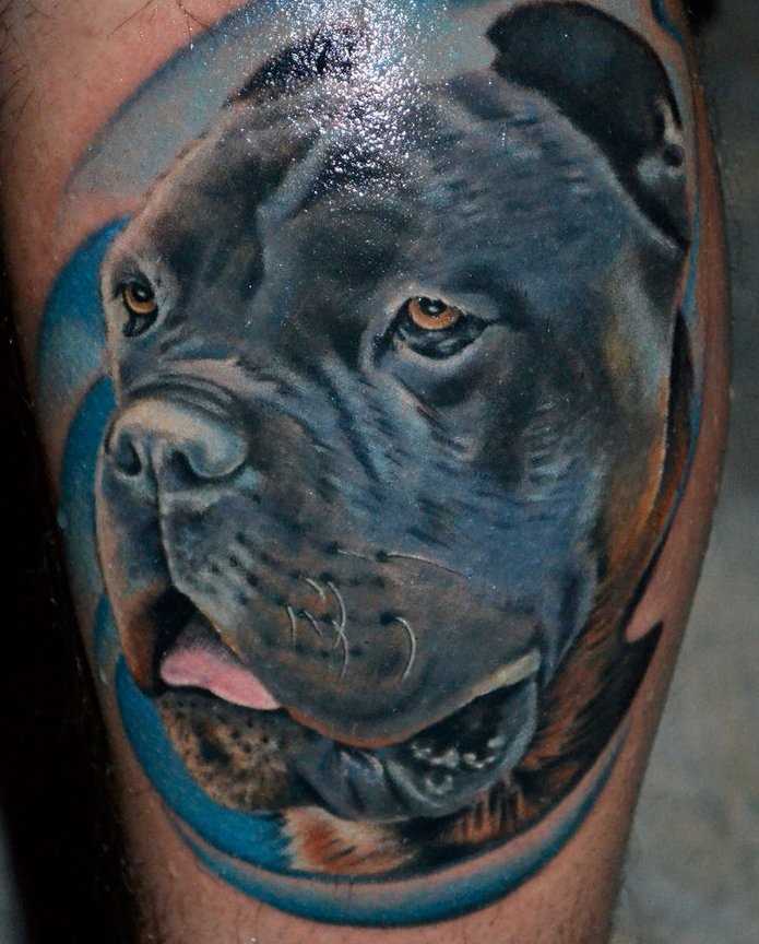 A bela cor de uma tatuagem na perna do cara - de- cão