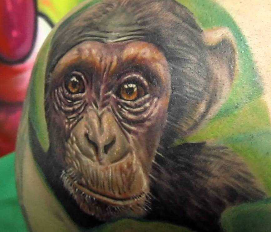 A bela cor de uma tatuagem no ombro o homem - macaco