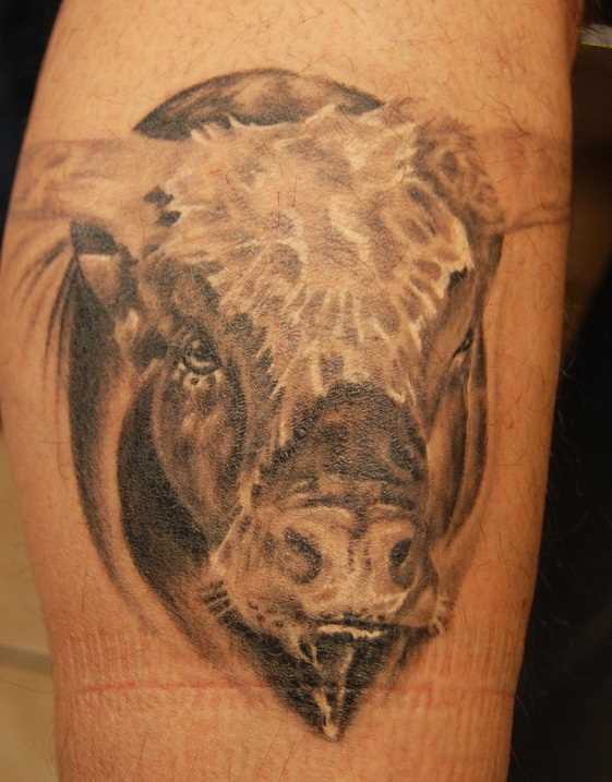 A bela e realista tatuagem no ombro de um cara com a imagem de um touro