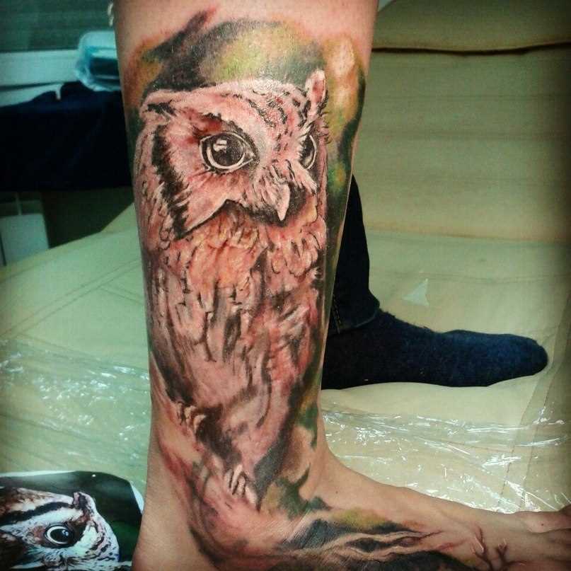 A coruja - de tatuagem na perna do cara
