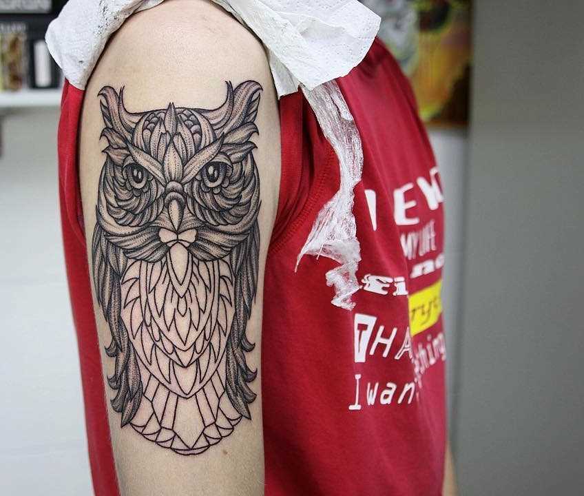 A foto da tatuagem de coruja em um estilo de gráfico no ombro do cara