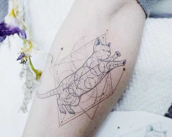 A foto da tatuagem de gato no estilo de geometria sobre a perna da menina