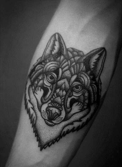 A foto da tatuagem de um lobo no estilo de gráfico no antebraço cara