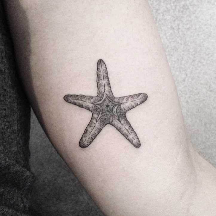 A imagem da estrela do mar, na mão de uma mulher