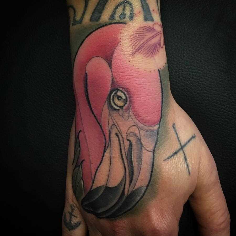 A imagem de flamingos no pincel cara
