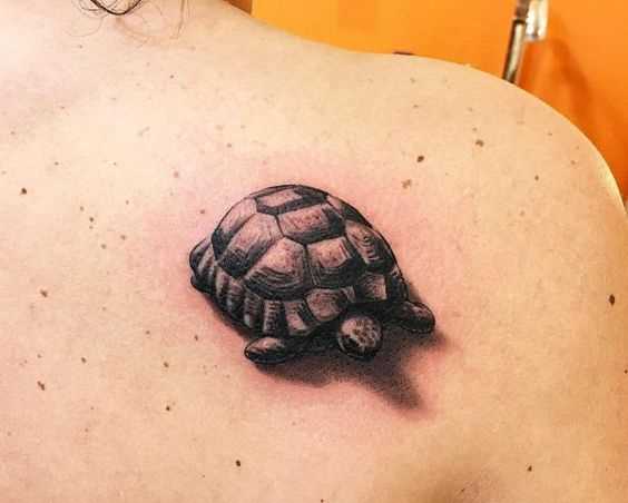 A tatuagem da tartaruga na lâmina de uma menina