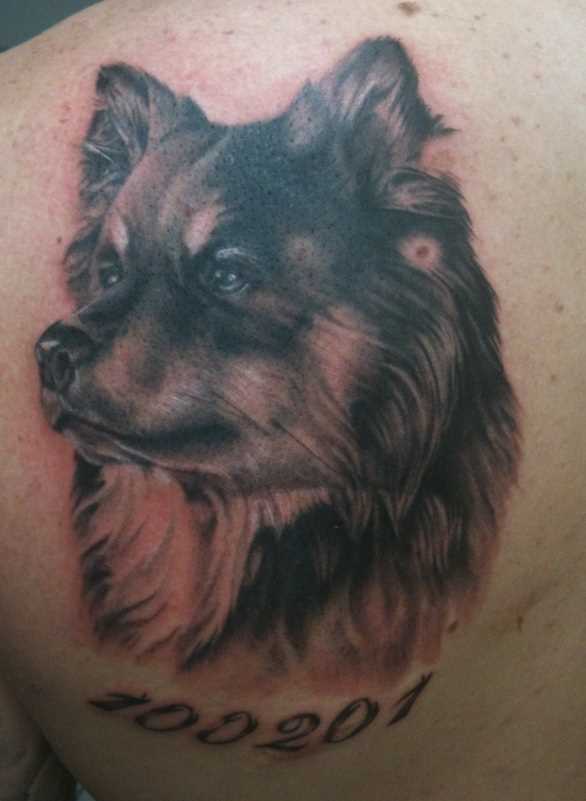 A tatuagem de blade o cara - cachorrinho
