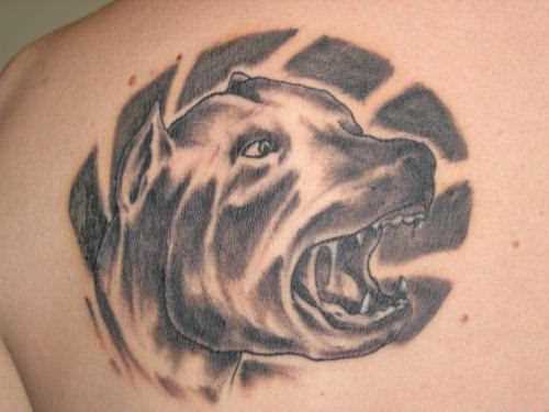 A tatuagem de blade o cara - de- cão
