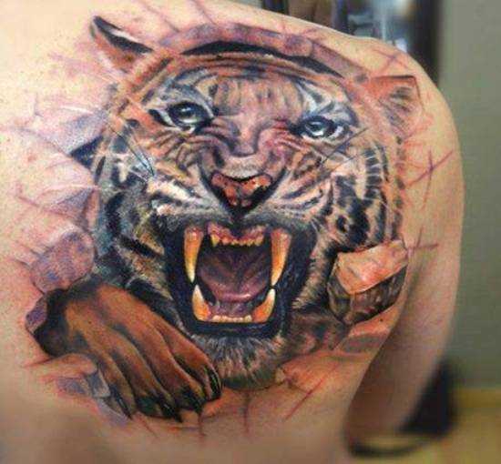 A tatuagem de blade o cara - de- tigre