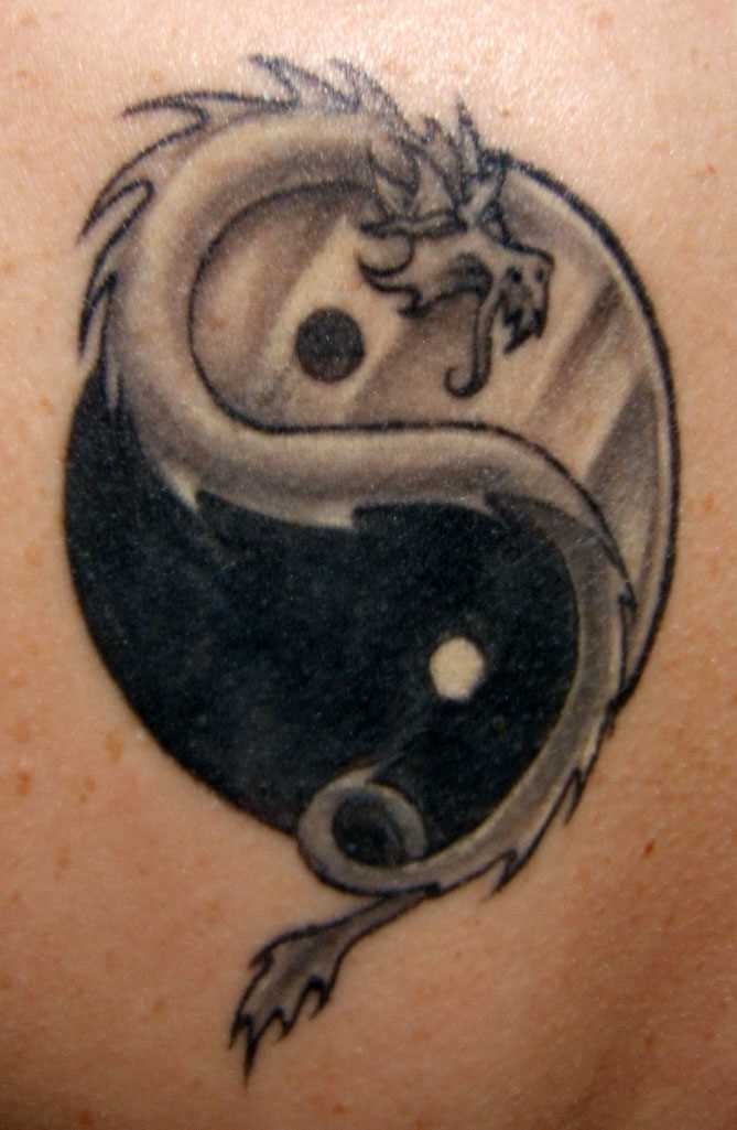 A tatuagem de blade o cara - o dragão como símbolo do Yin-Yang