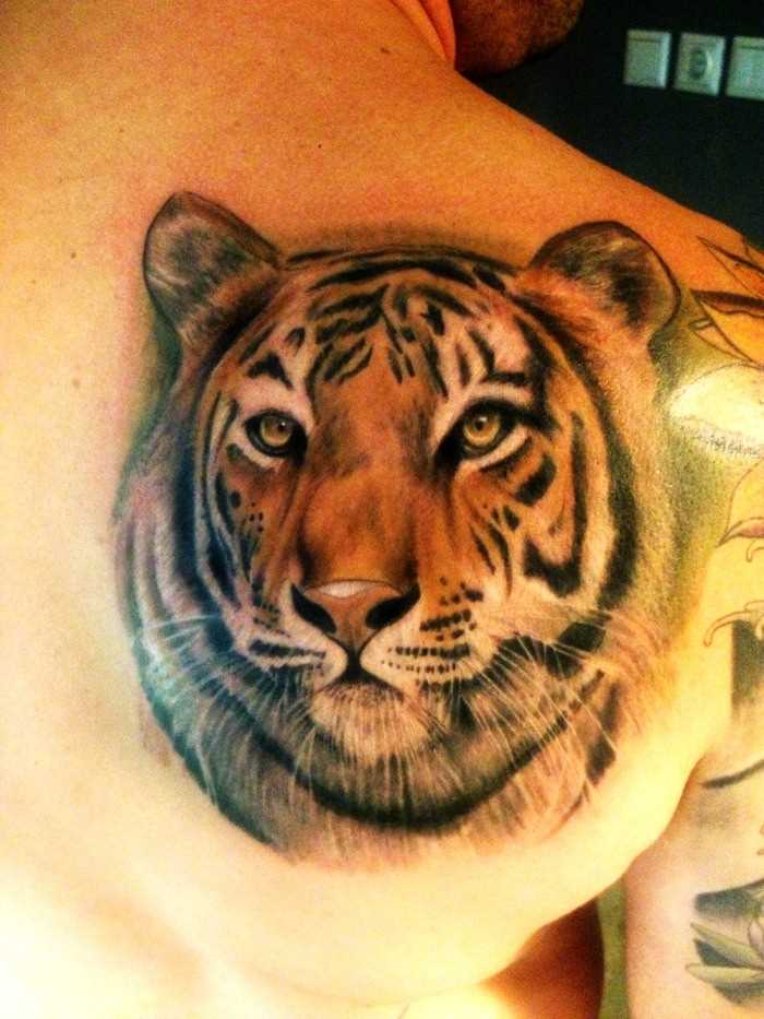 A tatuagem de blade o homem - tigre