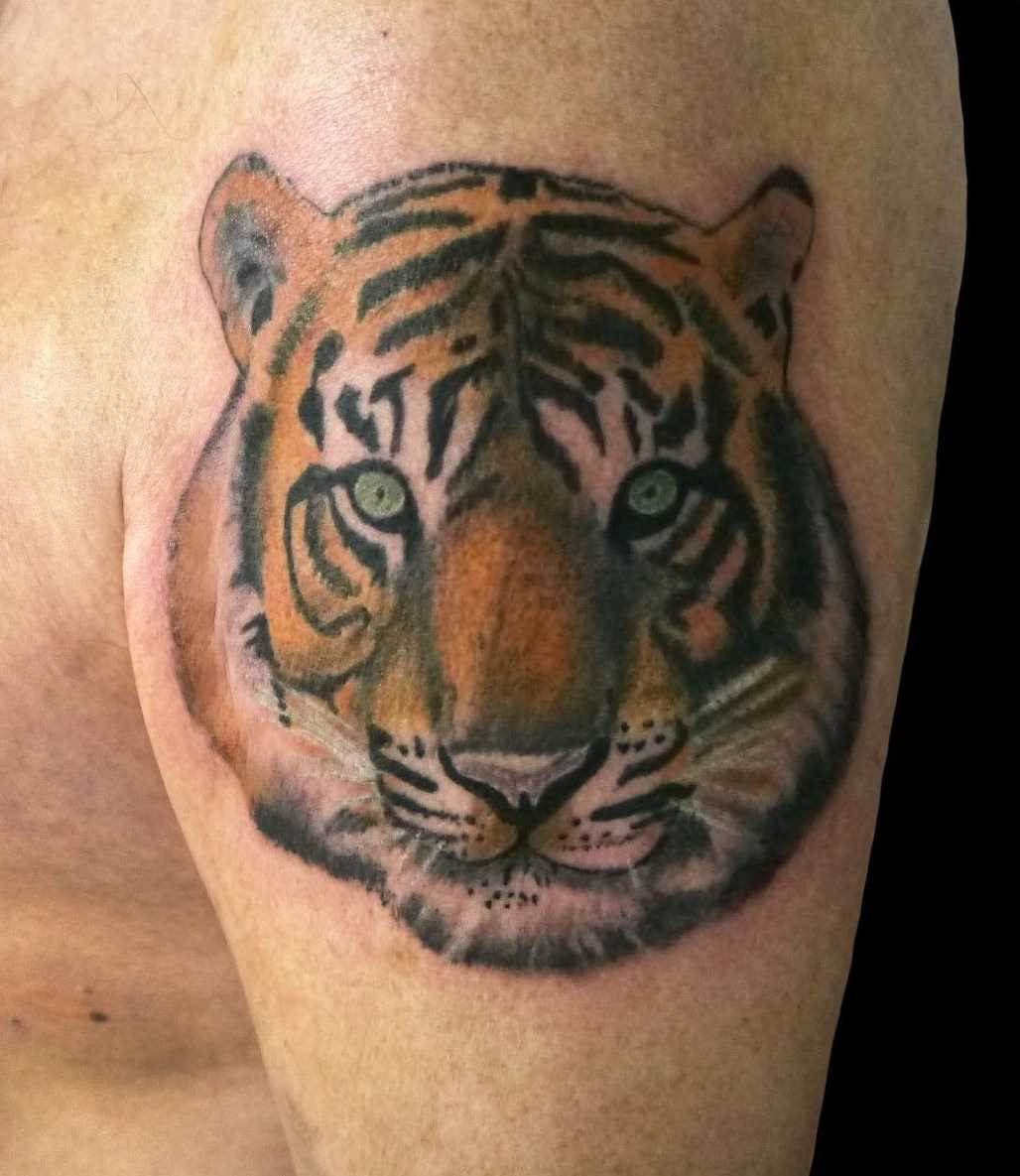 A tatuagem de tigre no ombro de um cara