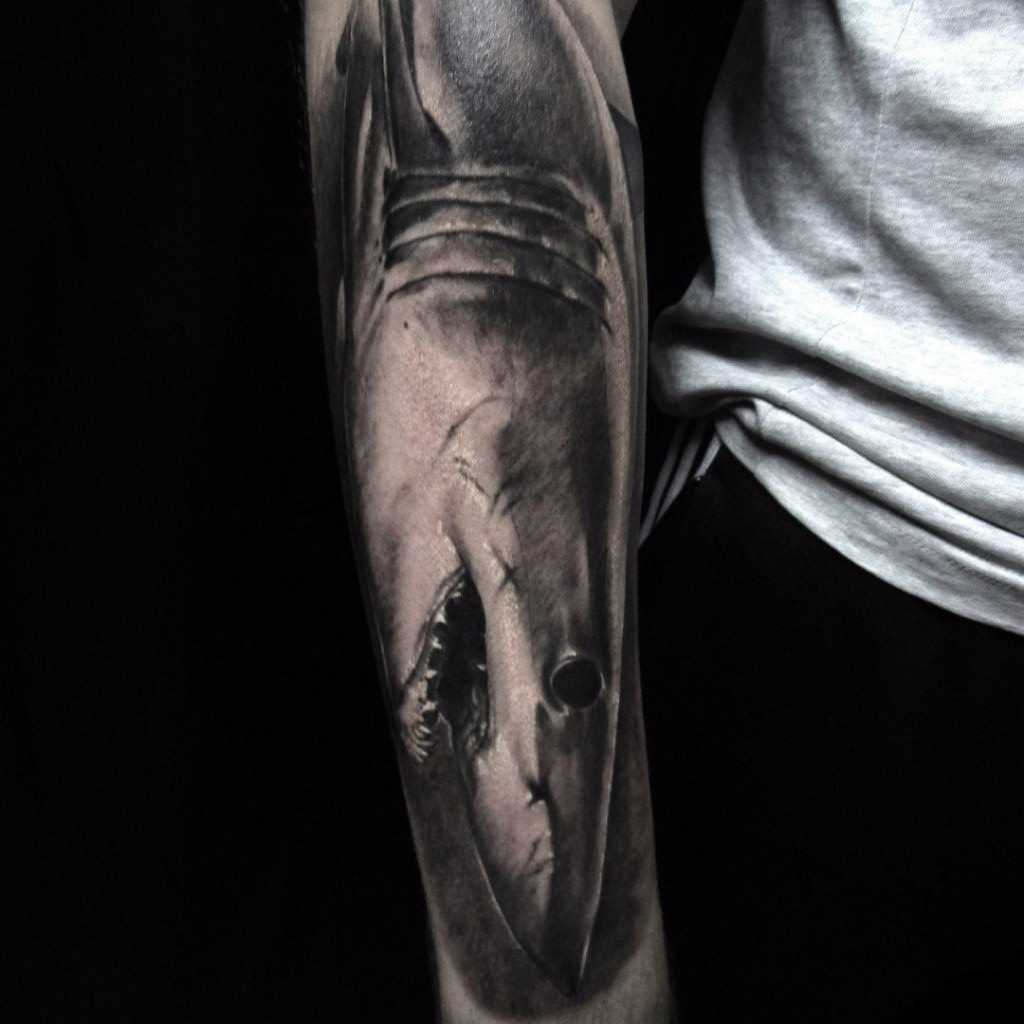 A tatuagem de tubarão no antebraço cara