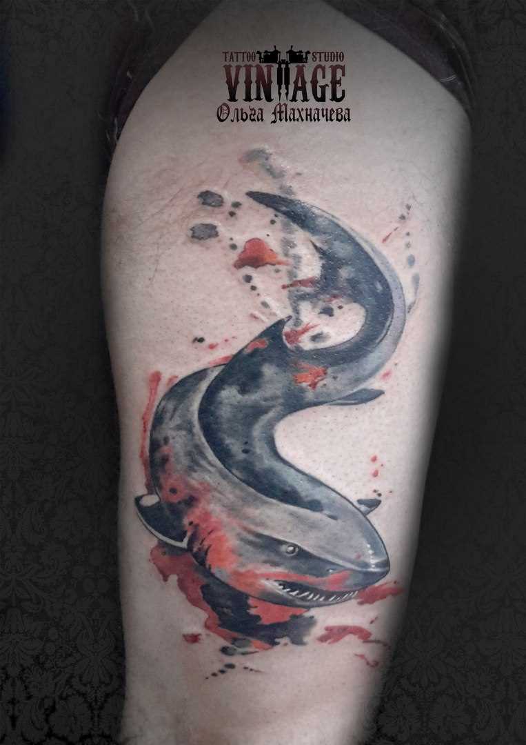 A tatuagem de tubarão no seu quadril cara