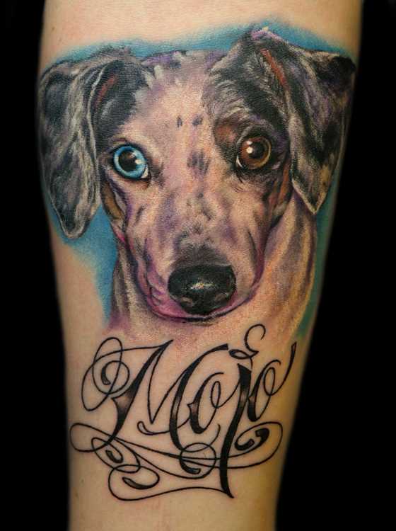 A tatuagem de uma menina no antebraço - cão com a inscrição