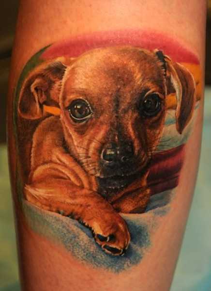 A tatuagem de uma menina no antebraço - cão