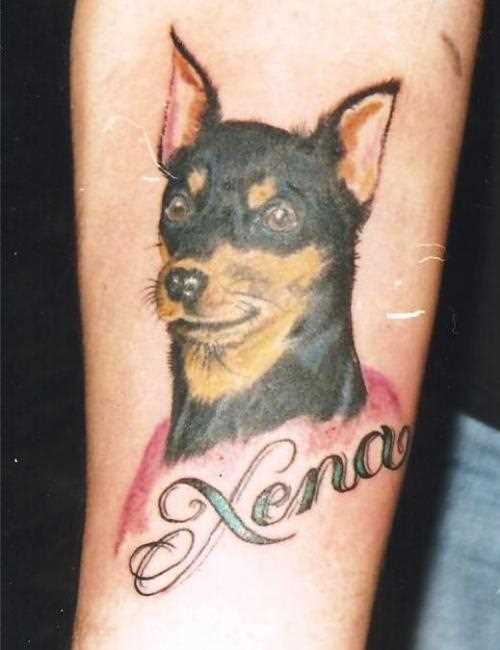 A tatuagem de uma menina no antebraço - o cão e a inscrição