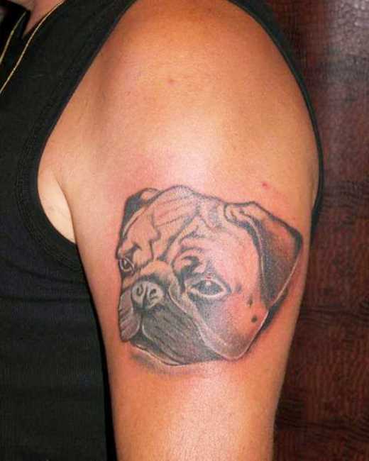 A tatuagem de uma menina no ombro - cabeça de cão