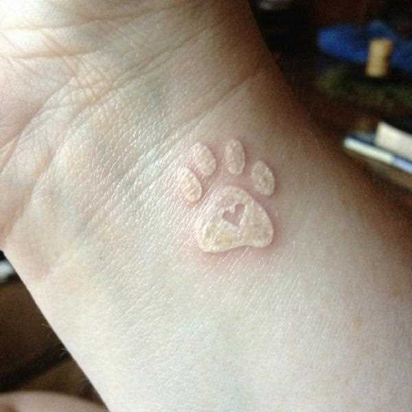 A tatuagem de uma menina no pulso - pata com um coração