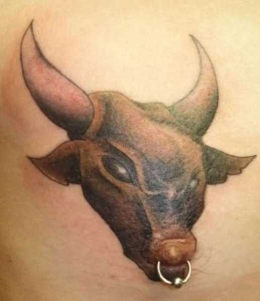 A tatuagem do cara no peito - cabeça de touro
