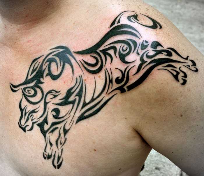 A tatuagem do cara no peito - o touro na forma de um padrão
