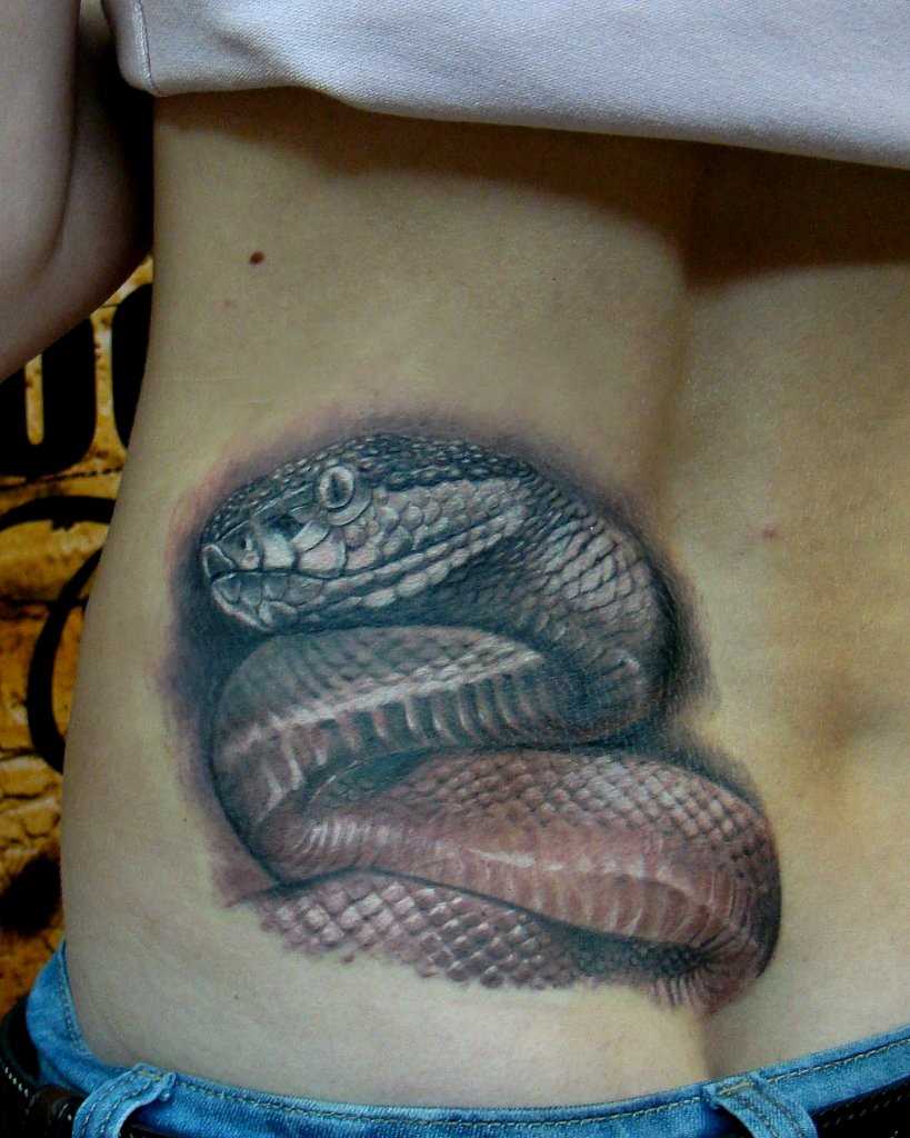 A tatuagem na parte de trás devshki - cobra
