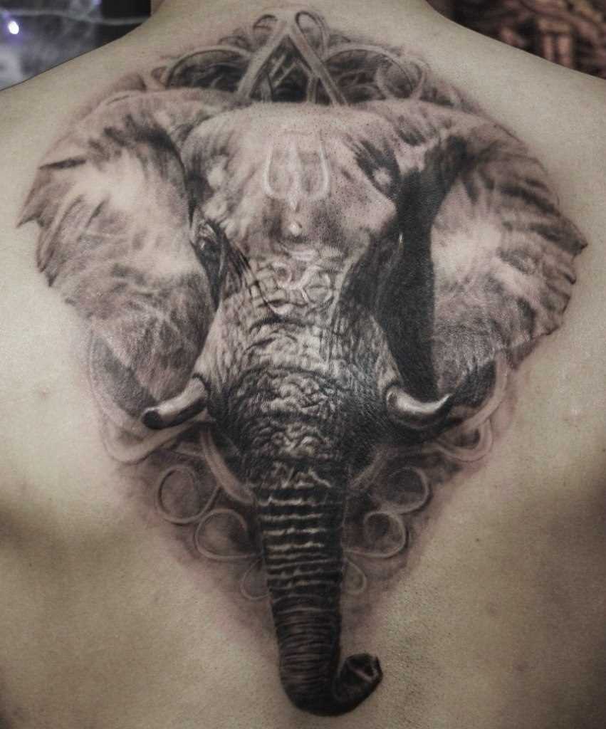 A tatuagem na parte de trás, o homem - elefante