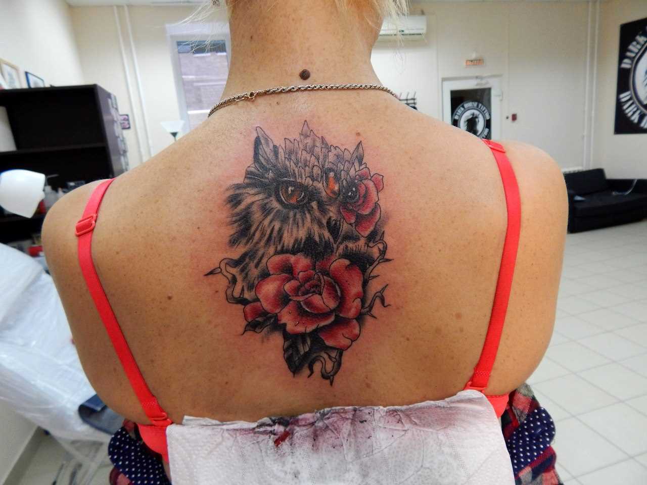 A tatuagem nas costas de uma menina - a coruja e rosas