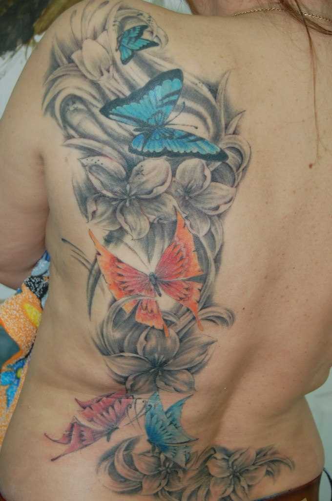 A tatuagem nas costas de uma menina - borboleta e lírio