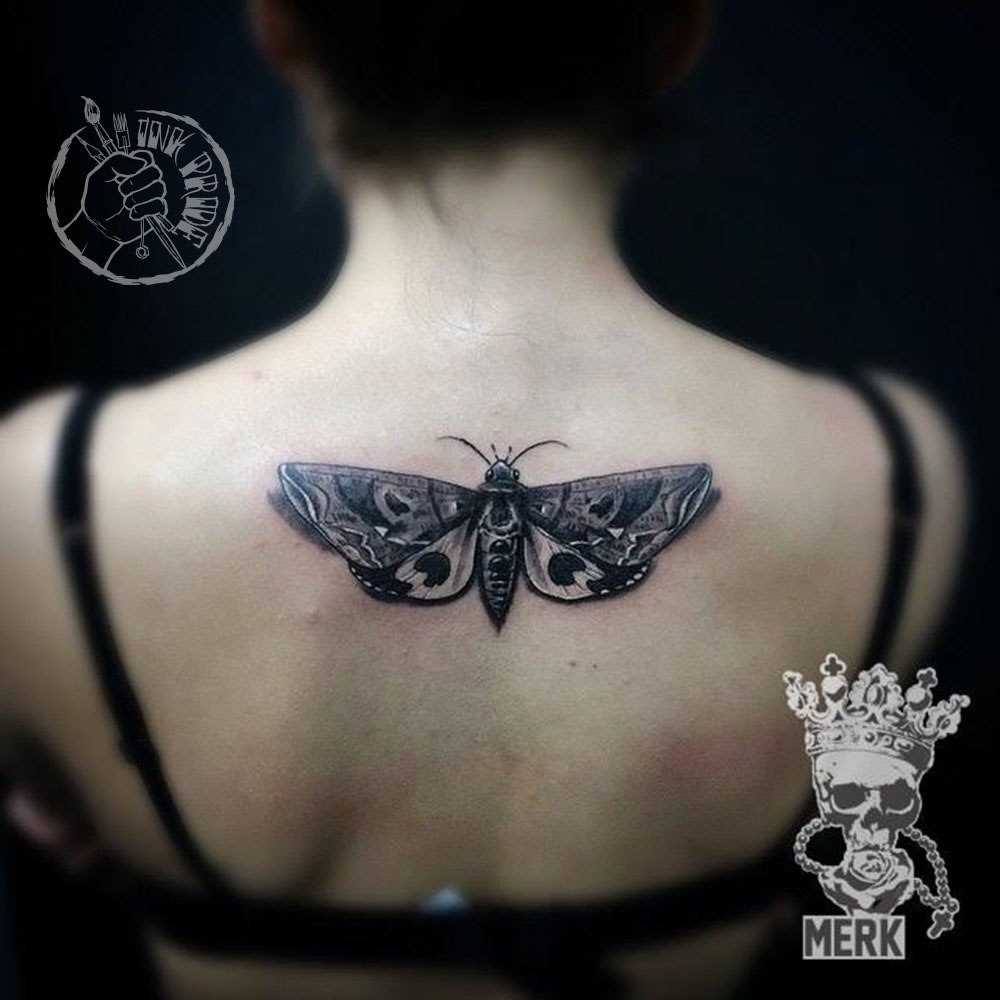 A tatuagem nas costas de uma menina - borboleta