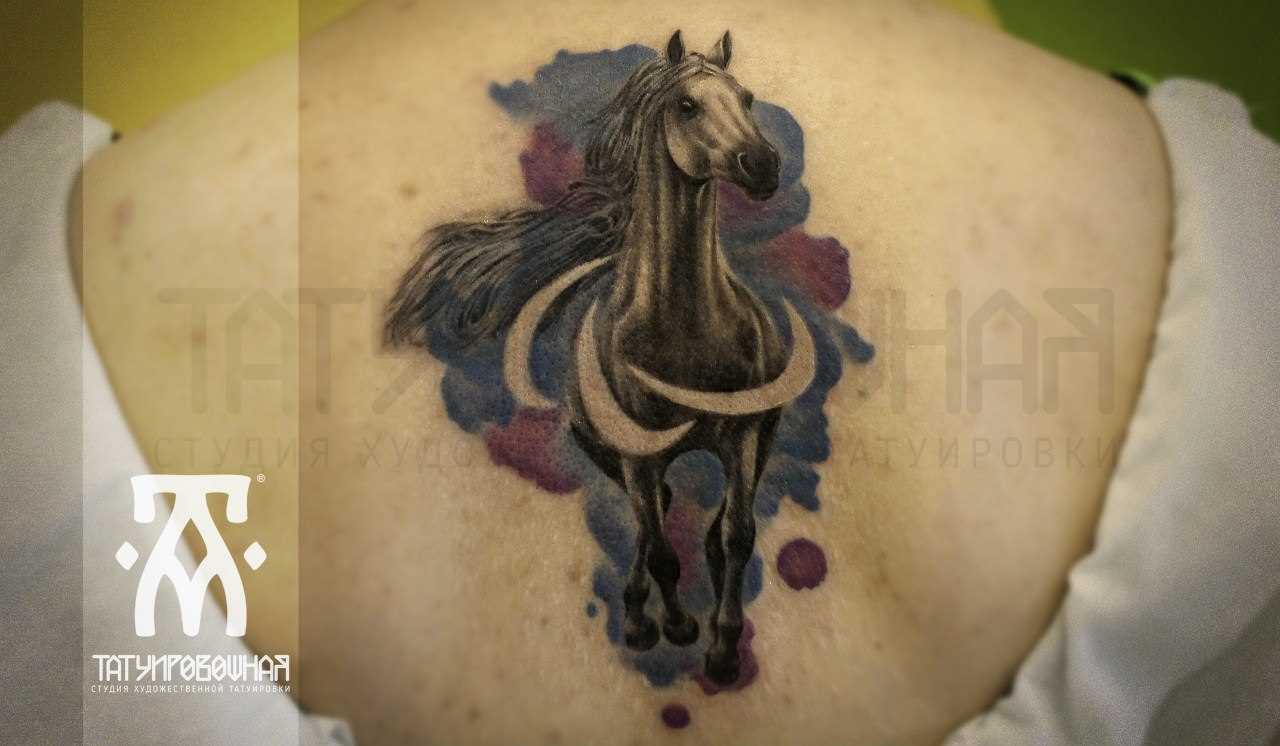 A tatuagem nas costas de uma menina - cavalo