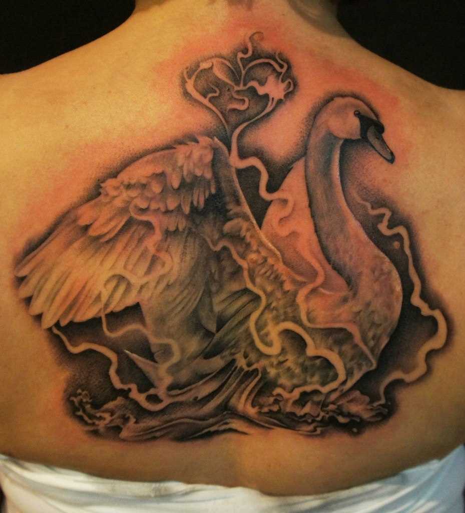 A tatuagem nas costas de uma menina - cisne