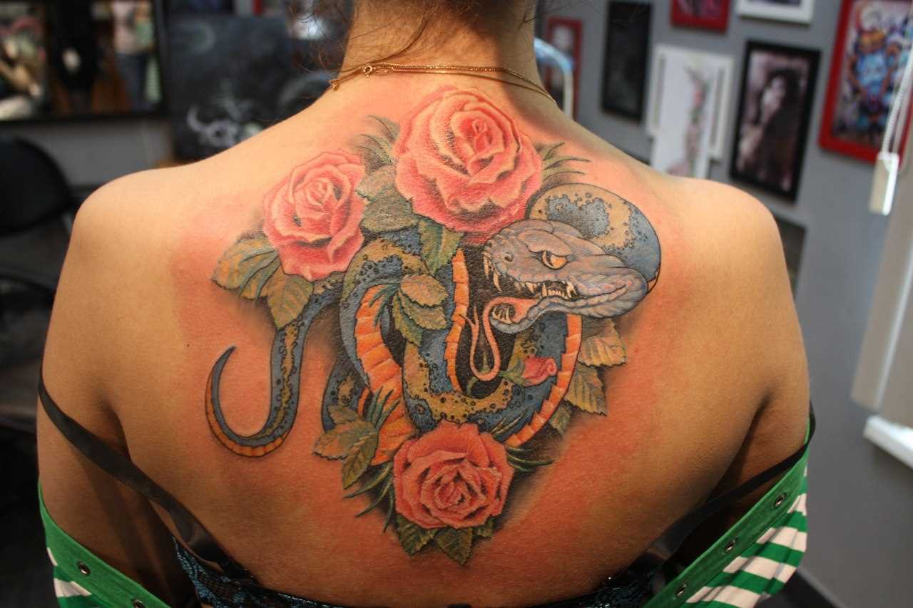 A tatuagem nas costas de uma menina de cobra e rosas